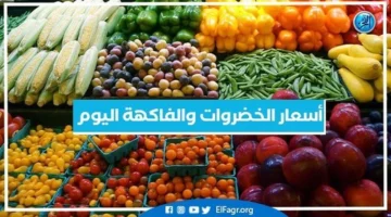 تراجع واستقرار أسعار الخضروات والفواكه في أسوان السبت 29 نوفمبر 2025